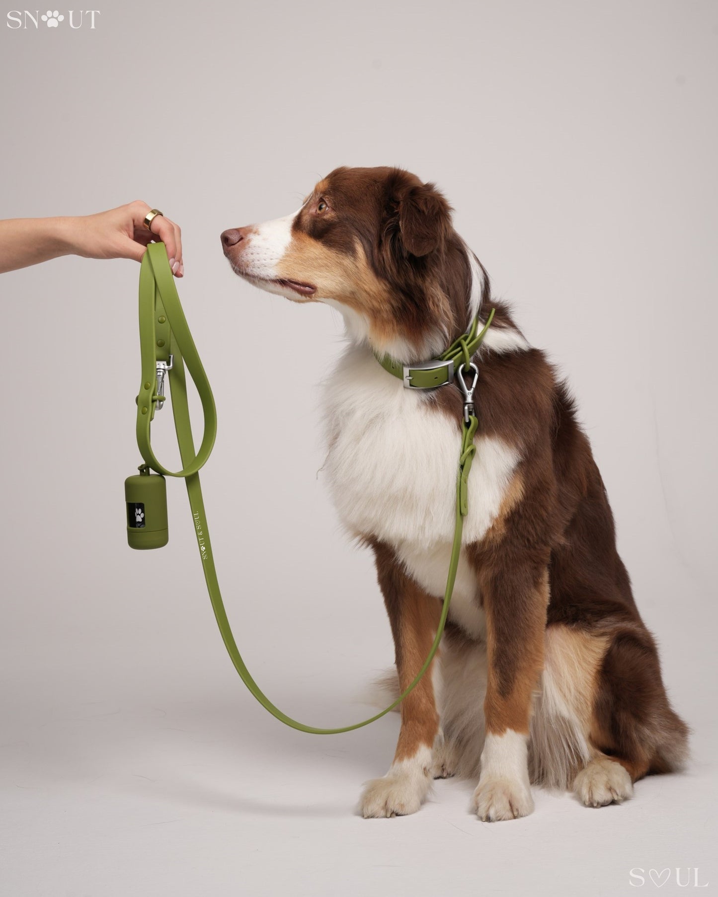 Halsband Walk Set