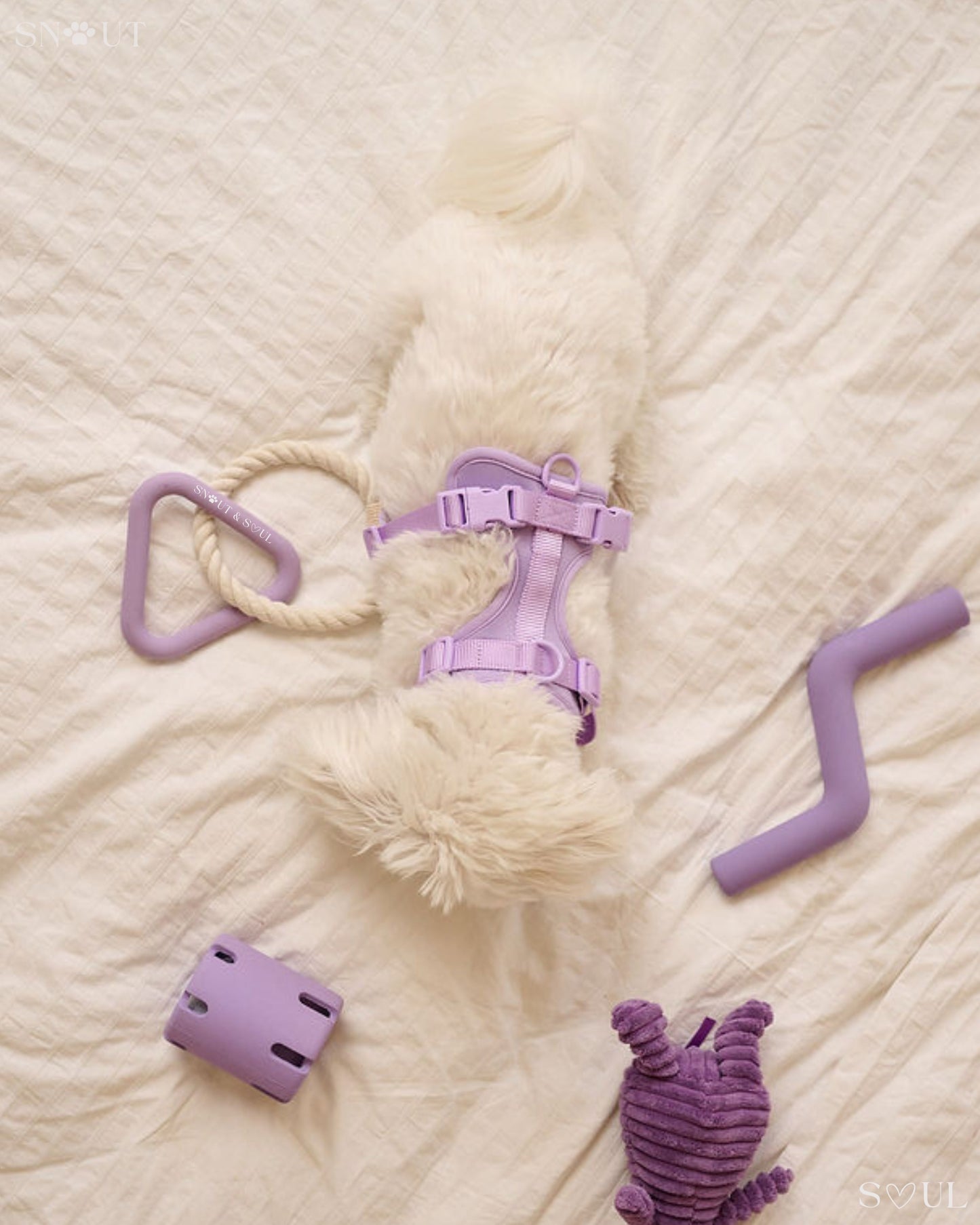 Harnas Walk & Play Set