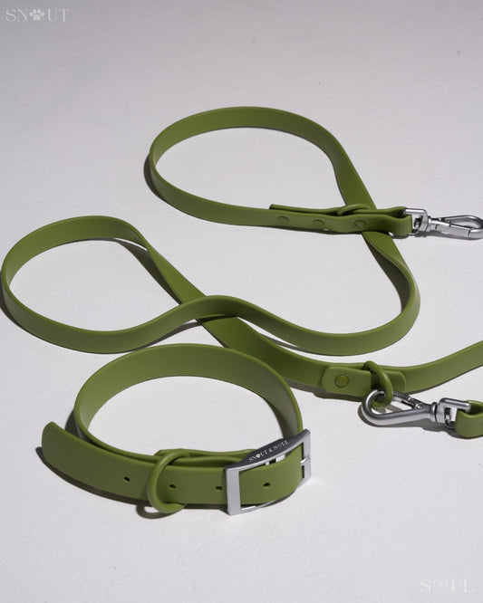Collar Walk Set