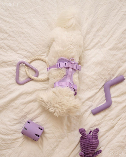 Harnas Walk & Play Set