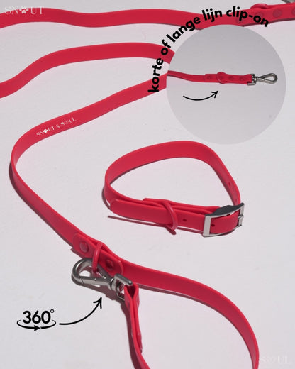 Halsband Walk Set